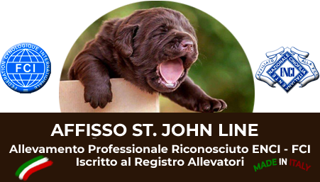 St.John